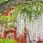 Hotel Cavour 30tre - Moderno