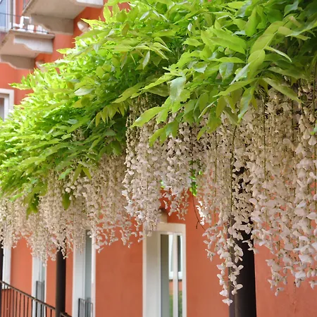 Hotel Cavour 30tre - Moderno Stresa