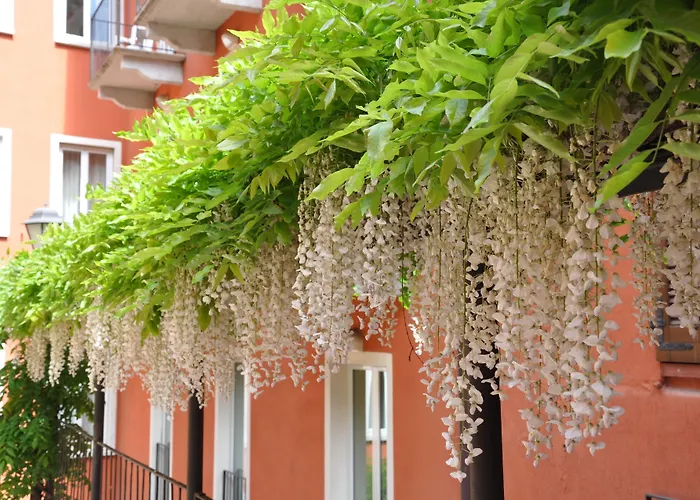 Hotel Cavour 30tre - Moderno Stresa